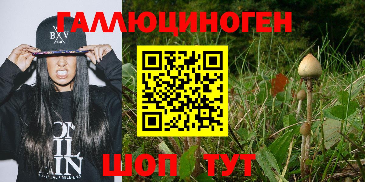 Галлюциногенные грибы Psilocybine cubensis  где купить   Новоалтайск  Вход с VPN 